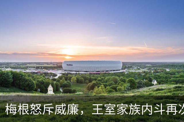 梅根怒斥威廉，王室家族内斗再次升级！