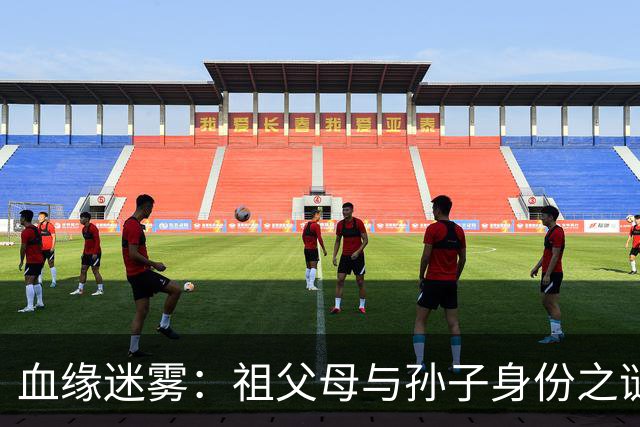血缘迷雾：祖父母与孙子身份之谜的法律大冒险
