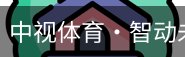 中视体育